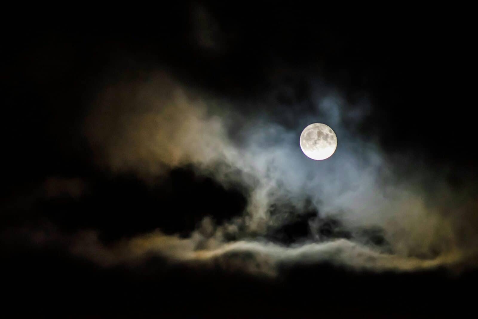 moon bunny